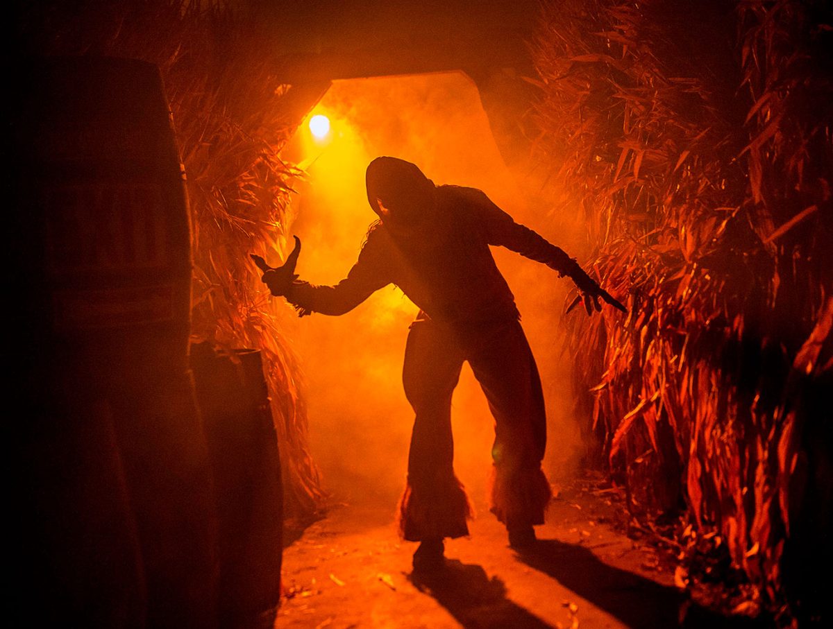 Corn stalkers scare zone at Cedar Point